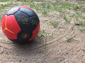 乐鱼体育入口-“沙滩赛场燃爆天府新区，沙滩手球和合球上演极限对决”